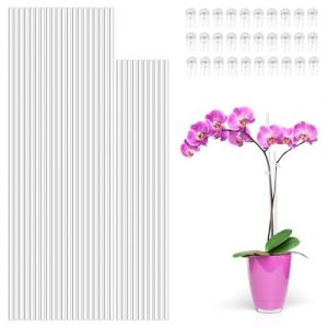 TNTGMG Tuteurs pour Plantes, 30 Tuteurs en Acrylique Transparent pour Plantes, Tuteurs pour Plantes d'orchidées, Tuteurs de Jardin avec Pinces pour Plantes d'intérieur et d'extérieur (TNTGMG, neuf)