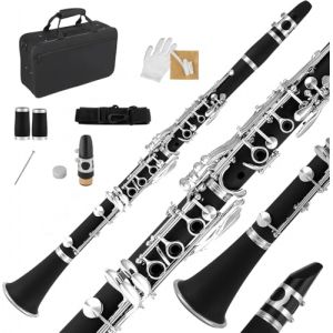 TINMAGI Clarinette Sib, Clarinet 17 Clés en Nickel pour Débutants, Clarinette si Bémol Professionnel ABS avec Étui Rigide, Chiffon de Nettoyage, Gants, Tournevis, Noir (TINMAGI, neuf)