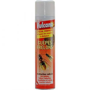 PRODUIT ANTI GUÉPES FRELONS 600 ML (Achats-en-nord / Worldmagic, neuf)