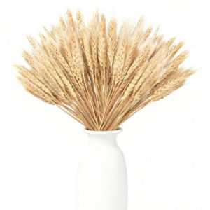 100pcs Bl&eacute; Seche Naturel &eacute;pi de Bl&eacute; Fleur Sechees Decoration Epi de Bl&eacute; Fleurs Sechees Naturelles Fleurs S&eacute;ch&eacute;es Bouquet pour Chemin&eacute;e Cuisine Table Couronne de No&euml;L, 40cm (yangsun, neuf)