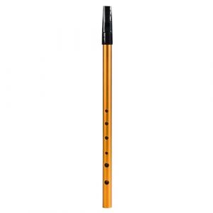 summina Sifflet de Penny Sifflet irlandais Clé C 6 trous Clé de C 6 trous Flûte Penny Whistle Tin Whistle Instruments de musique à vent pour étudiants débutants intermédiaires experts (Lingming Technology, neuf)