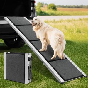 DAISTERN de BSWAY Rampe pour Chien Voiture Pliable 170cm x 44cm, Rampe d'Accès Escalier Extérieur avec Tapis Antidérapant, Cadre en Métal Aluminium Revêtu de Poudre Capacité de Charge jusqu'à 129KG (IEDAU International GmbH, neuf)
