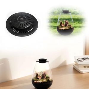 Fiorky Lampe de culture LED, foug&egrave;re mousse micro-paysage avec minuterie, lampe de croissance de plantes, 6 500 K, terrarium en verre, lampe de culture pour plantes d'int&eacute;rieur, plantes (Pingjia Ltd, neuf)