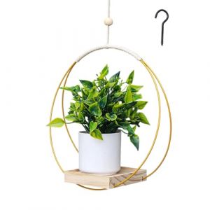 Diyxisk Pot de Fleur Suspendu, Bague en Métal Suspension Plante Intérieure, Simplicité Suspension Plante Exterieur, avec Base en Bois, pour Balcon Plafond Fenêtre Jardin Balcon (Or) (YAOYAOI, neuf)