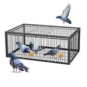 MUALROUS 60cm Piège à Pigeons de avec Conception à l’Épreuve de l’Évasion Pigeon Dove Piège à Oiseaux Cage Pliante Entrée à Sens Unique Piège de Jardin de Patio Extérieur pour Moineau Souris Lapin (Menglian shangmao, neuf)