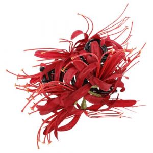 TOYANDONA Pince &agrave; Cheveux Grosse Taille Rouge Fleur Artificielle, Pince &agrave; Griffes pour Cheveux &Eacute;pais, Accessoire Coiffure Femme, Clip Robuste en Tissu et Plastique, Usage Quotidien (Y HEART, neuf)
