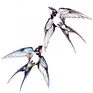 4 pcs Tatouage Ephemere Hirondelle Tatouage Temporaire Art Fille Clavicule Poignet &Eacute;tanche Couleur Noir Et Blanc Tatouage (PEKNUX, neuf)