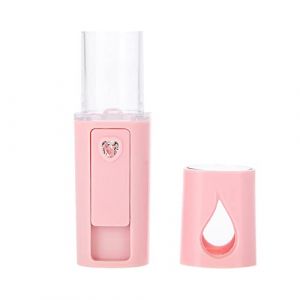 Pulv&eacute;risateur Facial de Taille Mini, Pulv&eacute;risateur Portatif USB Chagring d'une capacit&eacute; de R&eacute;servoir d'eau de 20 Ml, pour un Maquillage Pratique Affinant la Peau Hydratante (Zeeshat, neuf)