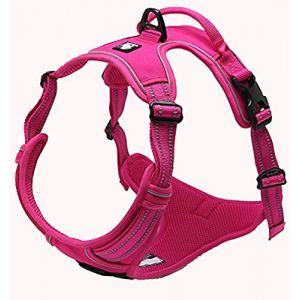 TRUE LOVE Réfléchissant Harnais De Chien Réglable Décourager Tirer Pet Gilet Durable en Nylon De Voiture TLH5651 (Fuchsia, L) (Truelove Pet Garment and Shoes Co.Ltd., neuf)