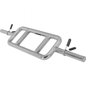 GORILLA SPORTS® Triceps Bomber - Max. Charge 200 kg, Ø 30 mm, avec 2 Fermetures en Etoile/à Ressort, Chrome - Barre de Triceps/Biceps, Triceps Trainer, Barre d'Haltères, Fitness, Musculation, Gym (Gorilla Sports GmbH, neuf)