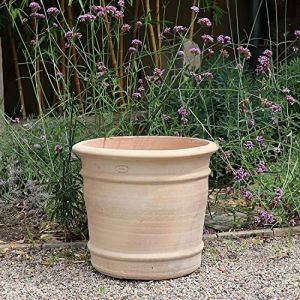 Palatina - Pot de fleurs en terre cuite - Fait à la main - Absolument résistant au gel et stable - Cache-pot à planter - Pour l'intérieur et l'extérieur - Canna (50) (Palatina Werkstatt Shop, neuf)