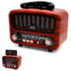 Radio rétro AM/FM/SW avec Bluetooth 5.0, petite radio nostalgique, avec batterie de 1800 mAh, radio de cuisine et radio de valise avec haut-parleur de 5 W, prise en charge USB/TF/AUX, radios vintage (Peelanmall-FR, neuf)
