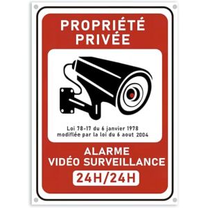 kinoco Lot de 1 18x13 cm Panneau Avertissement Surveillance Vidéo "Propriété Privée" en PVC Rigide Adhésif + 4 Colliers | Intérieur/Extérieur Résistant | Installation Rapide sans Perçage (ZZHONGFN12, neuf)