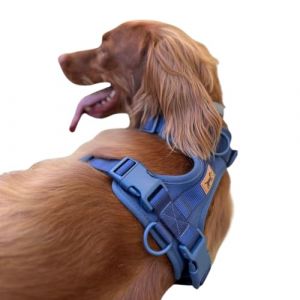 Harnais anti-traction pour chien – Réglable et confortable – Petites et moyennes races – Promenades sûres et sans traction – La Casa de Turrón (Bleu océan, M) (La Casa de Turrón, neuf)