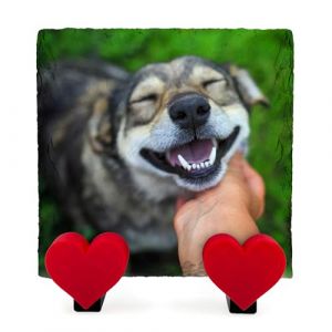 AIGAT Plaque Commémorative Carrée Personnalisée avec Support en Forme De Cœur pour Animal De Compagnie, Chat, Chien, Pierre Tombale en Ardoise - Taille 4" X 4" / 10 X 10 Cm (AIGAT, neuf)