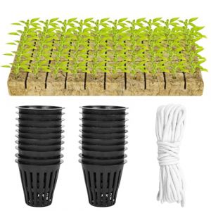 Lot de 100 pots en maille pour culture hydroponique, avec 50 gobelets en maille de 5,8 cm avec mailles fendues et 50 cubes en laine de roche avec mèche auto-arrosante de 10 m pour l'intérieur et (fuzhourupuruikeji, neuf)