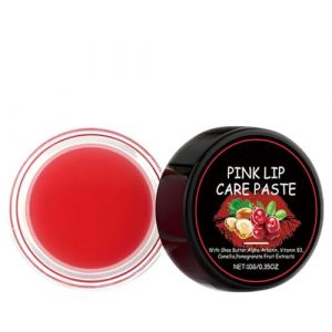 Baume à Lèvres pour Femmes | Cosmétiques de Soin pour la Peau de les Âges | Baume à Lèvres Hydratant pour l'Hiver | pour Épouse Petite Amie Amis Sœurs Rendez-vous Déplacements Voyage Rassemblement Sor (RaywinHub, neuf)