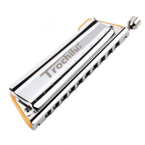 JDR Trochilus Harmonica Chromatique 10 Trous Chromonica Clé de G Armonica Harpe Sans Soufflet Orgue à Bouche avec Etui pour Adultes Professionnels Débutants (Chromatic/Solo Tuning Clé de G) (JDR Harmonicas, neuf)