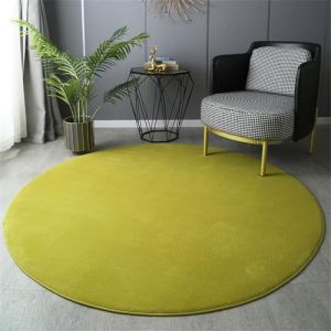 Highdi Tapis Rond 60/80/100/120cm, Couleur Unie Tapis Salon Moderne Tapis de Sol Tapis Poils Ras Antid&eacute;rapant Lavable Tapis pour Chambre Cuisine Int&eacute;rieur Ext&eacute;rieur (60cm,Vert) (Highdi, neuf)