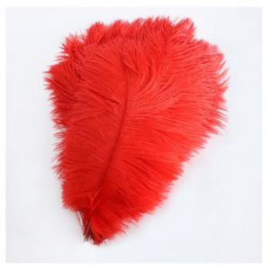 Pmnzdy Plumes d'autruche 10 PCS 15-20cm Plumes de Strass Color&eacute;es Plume Naturelle Plumes pour Bricolage DIY D&eacute;coration Plumes d'autruche pour Maison Mariage F&ecirc;te Table Esstisch Carnaval Attrape-r&ecirc;ves (Wancong, neuf)