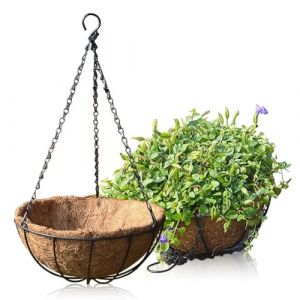 pdodo Pot de Fleurs Suspendu en Fer Forgé - Avec Doublure en Fibre de Coco et Chaîne de Suspension - Décoratif (YiWuShiLianGeDianZiShangWuShangHang, neuf)