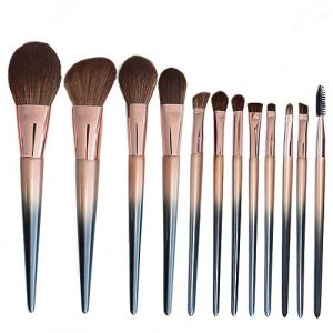 12 pièces ensemble de maquillage beauté maquillage Blush fard à paupières brosse Lucite dégradé outils de beauté ensemble de pinceaux de maquillage (yanglingdayuanhengweishangmaoyouxiangongsi, neuf)