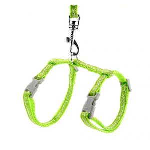 Smalllee Lucky Ranger Jouet pour Chien Chat Chaton Collier Harnais réglable avec Laisse Girafe (smalllee, neuf)