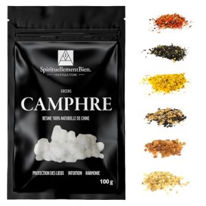 Encens Naturel - Bonheur - Purification - Protection - Protection pour Fumigation Brule Parfum ou encensoir (Camphre, 100 GR) (Spirituellement Bien, neuf)