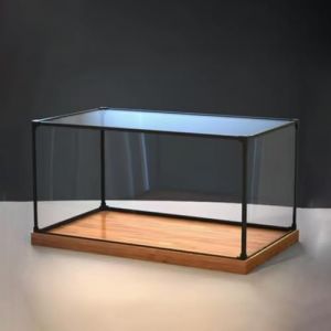 Vitrine pour Collection Boîtes en Acrylique Transparentes pour L'affichage D'objets de Collection, Boîte de Rangement en Cube Anti-poussière avec Base en Bois, Boîte Transparente Empilable(15x10x10cm( (YAHRK OUTLET, neuf)