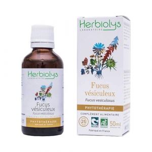 Herbiolys | Extrait De Plantes Fra&icirc;ches Bio | Fucus v&eacute;siculeux (Fucus vesiculosus) | D&eacute;tox | Phytoth&eacute;rapie Bio | 50 ml (BIVEA, neuf)