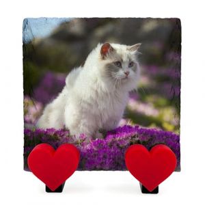 AMAZING Plaque Commémorative Carrée Personnalisée avec Photo Et Texte Ardoise en Forme De Coeur pour Chien Chat avec Présentoir en Forme De Coeur - Taille 10x10 cm (PrintAmazing, neuf)