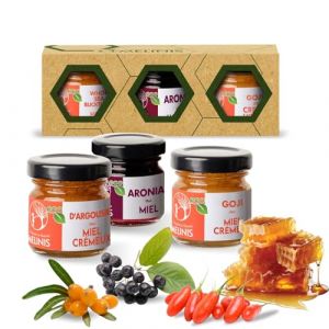 Coffret D&eacute;gustation &ldquo;Explosion de Vitamines&rdquo; 3 &times; 40 g &ndash; Miel Bio Tartinable &agrave; l&rsquo;Argousier, &agrave; l&rsquo;Aronia et au Goji &ndash; Sans Sucre Ajout&eacute; &ndash; Pour Petit-D&eacute;jeuner, Snacks et Cadeaux Gourmands &ndash; Melinis (Atelierele Melinis SRL, neuf)