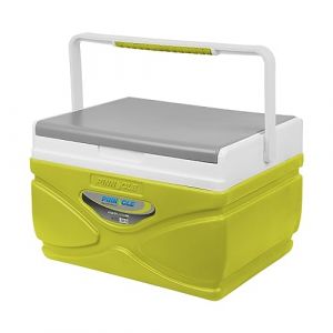 Glaci&egrave;re de Pique-Nique 4,5 Litres - Garde le Contenu au Frais Pendant 48 Heures - Portable, Sans BPA pour Barbecue, Camping (Vert Citron) (S&R Brands UK, neuf)
