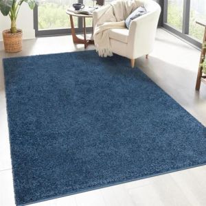 carpet city Shaggy Tapis de salon, &agrave; poils longs, motif uni, bleu, 200 x 200 cm, carr&eacute;, doux et moelleux, moderne, convient &eacute;galement &agrave; la chambre &agrave; coucher (carpetcity, neuf)