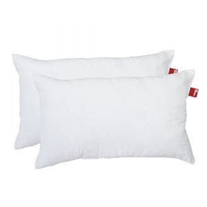 POWER INN &ndash; Coussins int&eacute;rieurs en coton | Lot de 2 - 60 x 40 cm | Garnissage de coussin lavable comme coussin d&eacute;coratif, coussin de canap&eacute; et oreiller | rempli de ouate de rembourrage Oeko-Tex 100 (2 (Stoffe24, neuf)