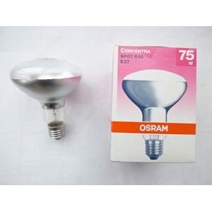 Osram Ampoule &agrave; r&eacute;flecteur E27, R95, 75 W (DSTOCK60, neuf)
