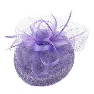 Bibi vintage - Mini pinces &agrave; chapeau - De qualit&eacute; sup&eacute;rieure - D&eacute;coration pour filles et femmes - Pour th&eacute;, cocktail, f&ecirc;te (violet, taille unique) (jksmyx, neuf)