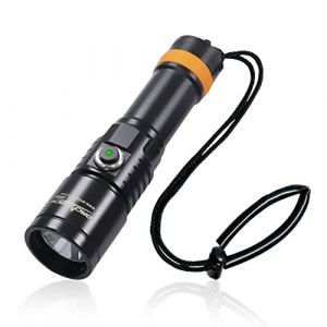 ORCATORCH D530 Lampe de Poche de Plongée 1300 Lumens 8 Degrés Angle de Faisceau étroit Interrupteur Bouton Latéral en Alliage de Titane 2 Modes pour Plongée Sous-marine 150 Mètres (BrinyteDirect, neuf)