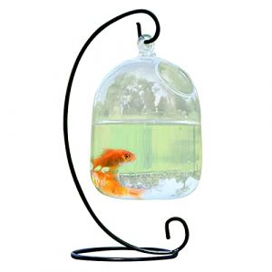 Aquarium &agrave; Suspendre au Bureau, Bol &agrave; Poisson Betta en Verre, Mini Aquarium avec Support, Vase Transparent Cylindrique pour Poissons, Fleurs (#1) (welcome chaozhang, neuf)
