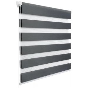 WOLTU Store Enrouleur Jour Nuit sans Perçage, Store Zébré en Double Tissu, Rideau Translucide et Occultant, Protection de la Vie Privée, Montage Facile avec Clips, 95l x 120L cm, Gris Foncé (WOLTU GmbH, neuf)