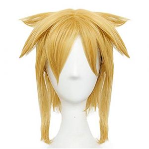 Anime Coser Wig La légende de Zelda: Souffle de la Liaison Sauvage Courte Perruque dorée Cosplay Cosplay Costume résistant à la Chaleur résistant aux Cheveux synthétiques Hommes Femmes Perruques (good stuff A, neuf)