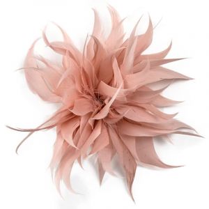 Épingle à plumes for écharpe, boucle, broche, clip, épingle à revers de Noël, broche, bijoux, badge en plumes et fleurs for femmes et filles(PK) (MAOXINBAIHUO, neuf)