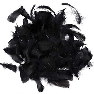 Suneast Lot de 300 Plumes d'oie pour Loisirs Créatifs, Attrape-Rêves, Boucles d'oreilles, Mariage, Festival, Décoration de Fête Prénatale - Noir, 8-12cm (LiXunWei, neuf)