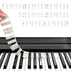 FHISKUNYU &Eacute;tiquettes de Piano Arc-en-Ciel R&eacute;utilisables, Guide Visuel pour D&eacute;butants avec 88 Touches en Silicone, Clavier Amovible sans Autocollants (Couleurs Multicolores)​ (BUIA MORAVIA, neuf)