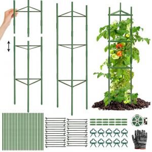 Tuteur Tomate Cerise,Tuteur pour Plante Amovible,Support pour Plantes Grimpantes,Aidez Vos Plantes à Pousser - Anneau de Support de Plante Pieux à Hortensias,Pivoines,Plantes Vivaces (TUIBEI, neuf)