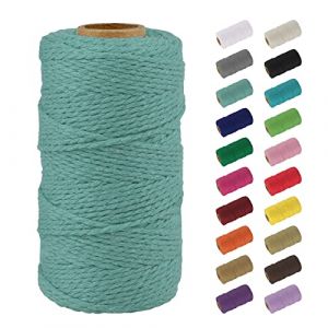Uiopa Macrame Corde 2mm x 100m, Naturel Fil Macramé Fil de Coton Ficelle Corde, DIY Cordelette pour Tressée, Tapisserie de Plante, Tenture Murale, Cadeau Décoration, Emballage (Bleu clair) (XEYUAN, neuf)