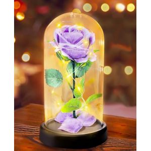 Cadeaux de Fête des Mères pour Femmes - Rose Eternelle sous Cloche Cadeau Femme - 1 Rose de Soie Violette, Rose Dôme en Verre Fleur Artificielle avec LED Lumières, Cadeau pour Femme,Maman,Grand-mère (Touloube, neuf)