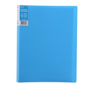 Eagle Porte Vues A4 avec 40 Pochettes Transparents A4 Poche Livret de Présentation pour Classer et Protéger les Documents (Bleu) (TYI Store, neuf)