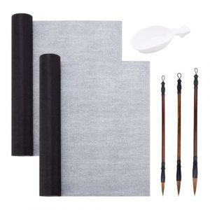 PH PandaHall 6PCS Kits de Calligraphie Chinoise sans Encre Ensemble de Papier Magique D'Écriture Réutilisable Tapis de Calligraphie Chinoise pour Étudiants Débutants Pratique de la Calligraphie (Yizhou EU, neuf)
