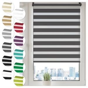 Sonello Store enrouleur Jour Nuit Klemmfix sans perçage 45cm x 100cm Antracite, Facile à Installer avec Clips pour Fenêtre ou Porte, Stores Zébrés de Protection Solaire,Store enrouleur en Tissu Double (GardenFlora - Home & Garden, neuf)